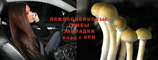 не бодяженный Михайлов