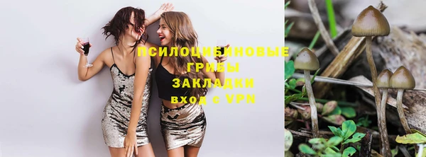 ешки Михайловка