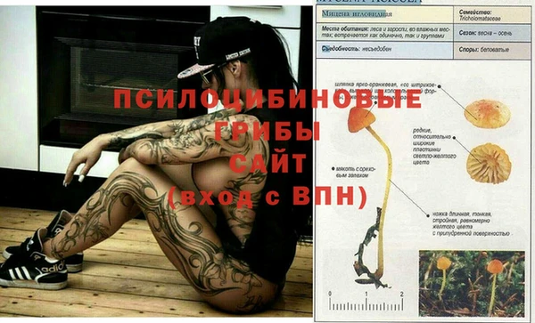 марки nbome Медногорск